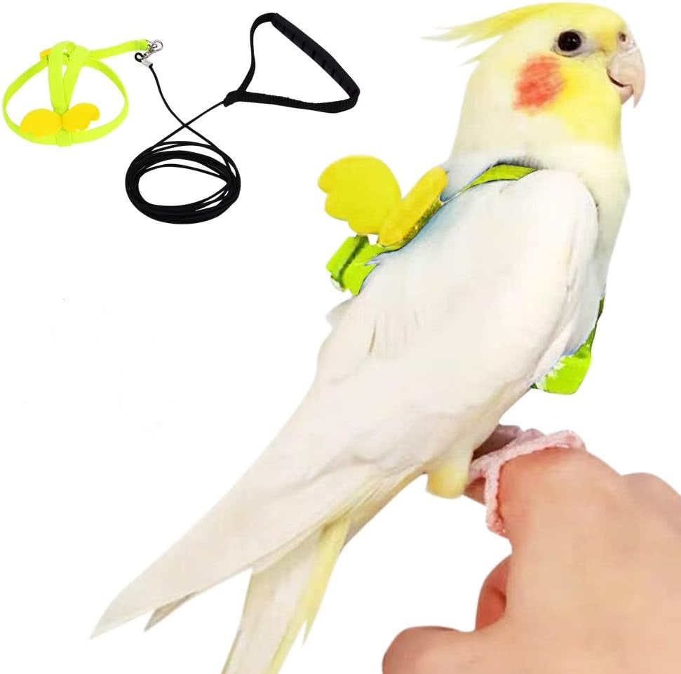 Bird Harness and Leash, Bird Parrot Adjustable Outdoor Flying Training Rope with Buckle for Cockatiel, Macaw, Budgie, Red-Breasted Parakeet, Monk Parakeet, Grey Parrot, Lovebird