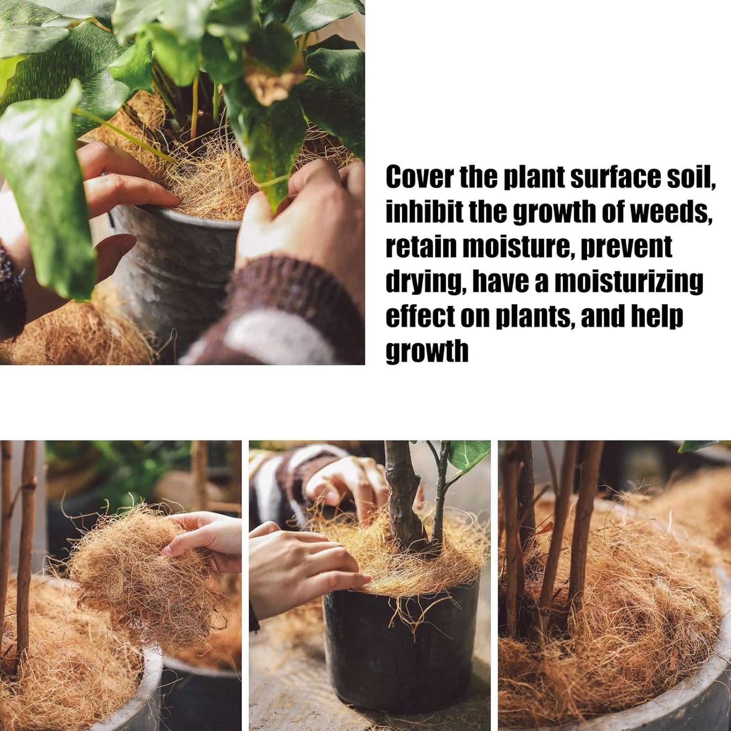 Coconut Fiber Nesting Material for Birds,Dust-Free,3 Ounce