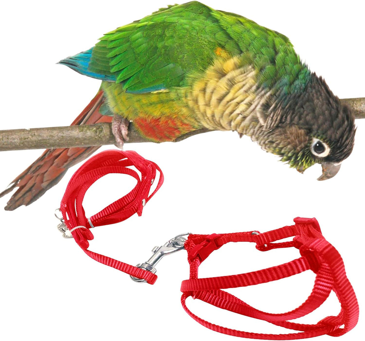 Bird Harness and Leash Kit Adjustable Anti-Bite, Fit for Large Medium Birds, Macaw,Budgerigar, Cockatoo, African Grey, and Reptiles, Lizards(Red Medium)