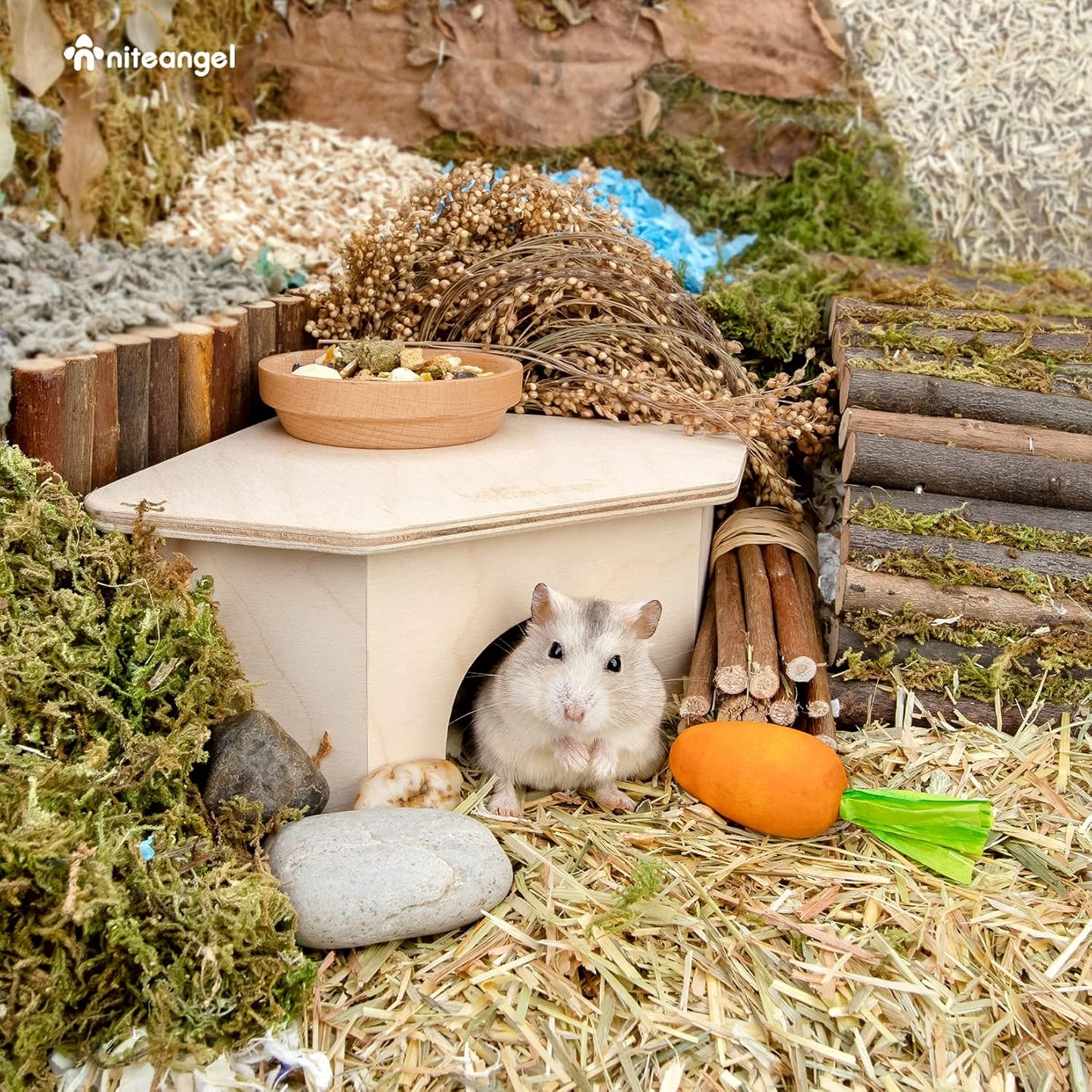 Birch Chamber-Maze Hamster Hideout - Small Pets Woodland House Habitats Decor for Hamster Mice Gerbils Mouse