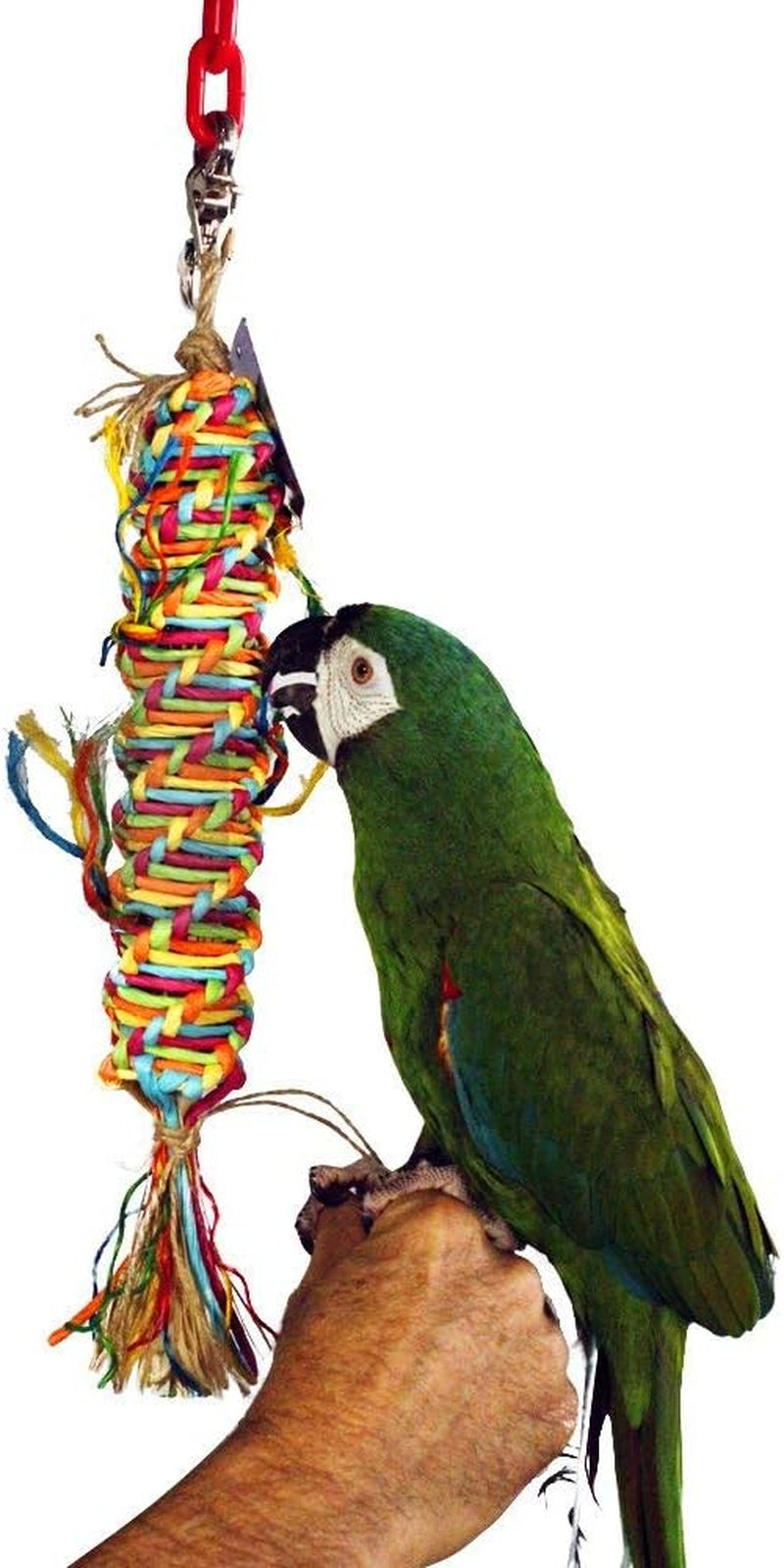 Single Medium Twisted Paper Tornado Bird Toy for Amazons, Eclectus, Mini Macaws, Sun Conures, Cockatoos, African Greys and Similar Sized Medium Birds - Single Item