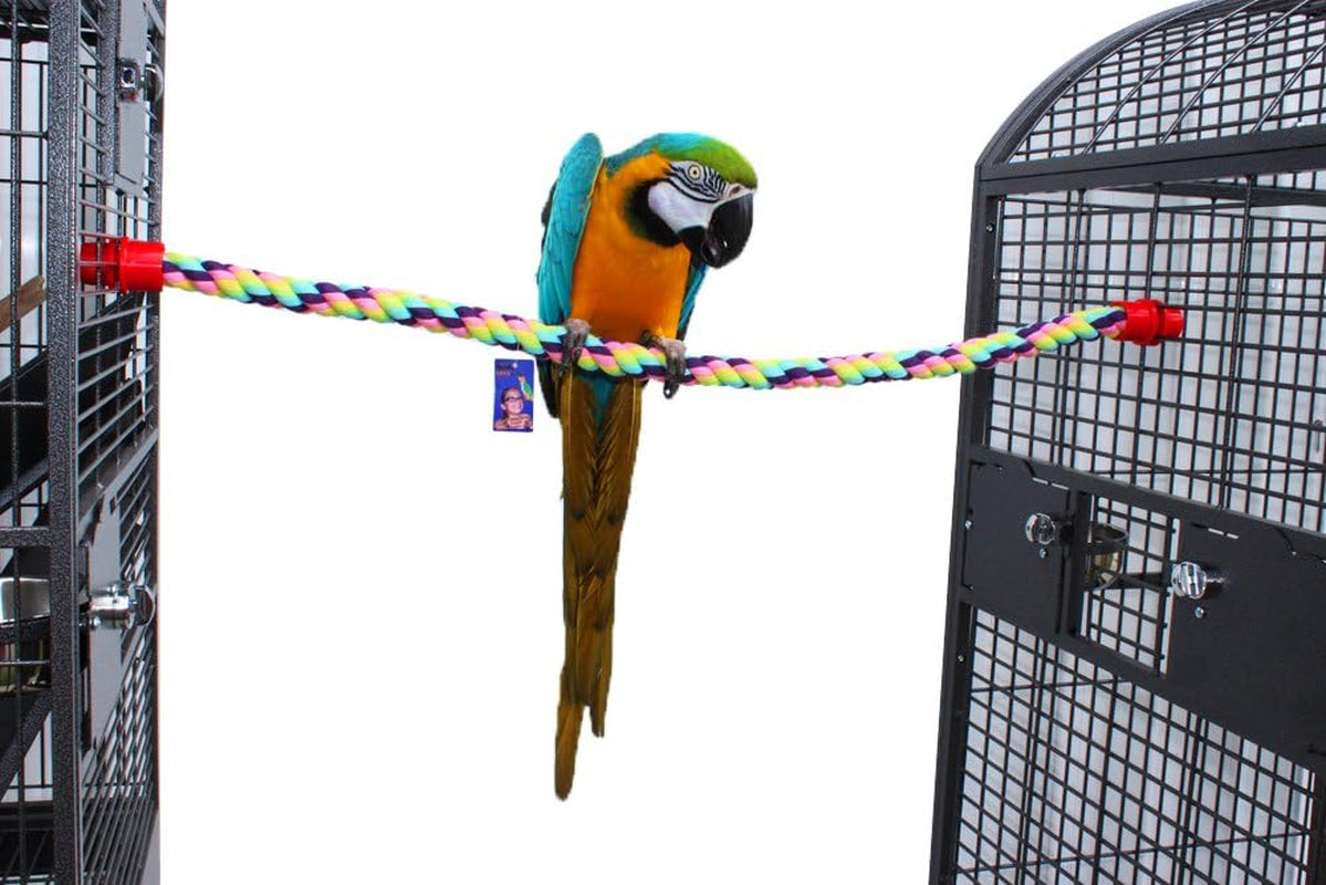 Cotton Rope Comfy Cable Perch 2 Pack for Birds 38.5" Length - Perfect for African Greys Amazons Eclectus Macaws Cockatoos and Similar Sized Birds