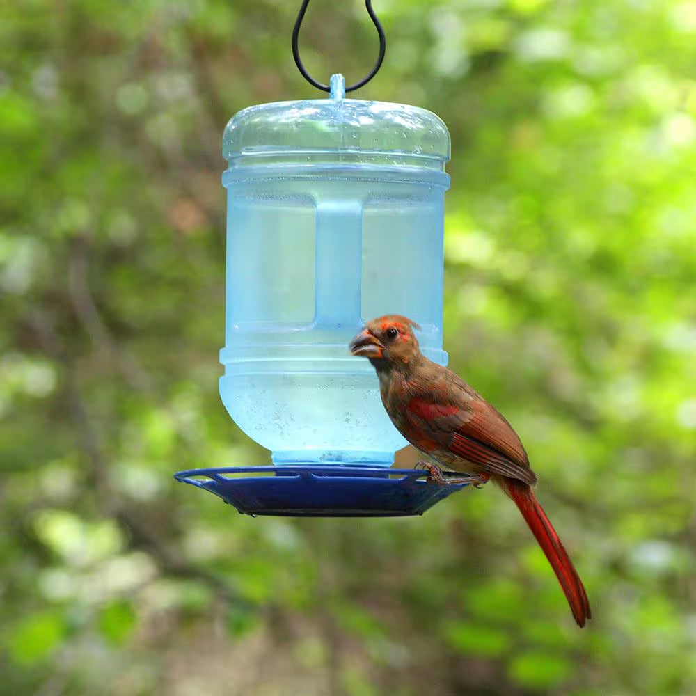 Water Cooler Hanging Bird Waterer - 48 Oz. Capacity