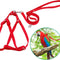 Bird Harness and Leash Kit Adjustable Anti-Bite, Fit for Large Medium Birds, Macaw,Budgerigar, Cockatoo, African Grey, and Reptiles, Lizards(Red Medium)