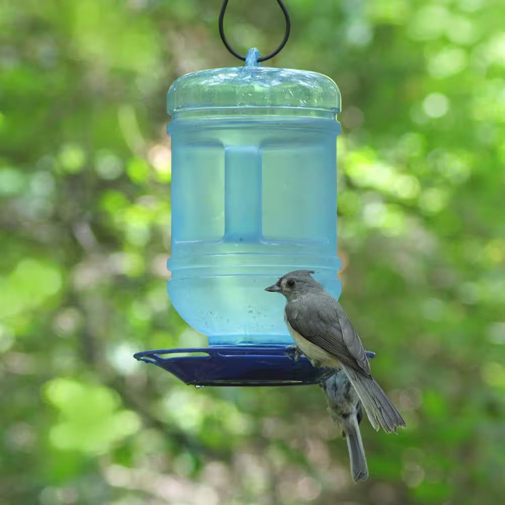 Water Cooler Hanging Bird Waterer - 48 Oz. Capacity