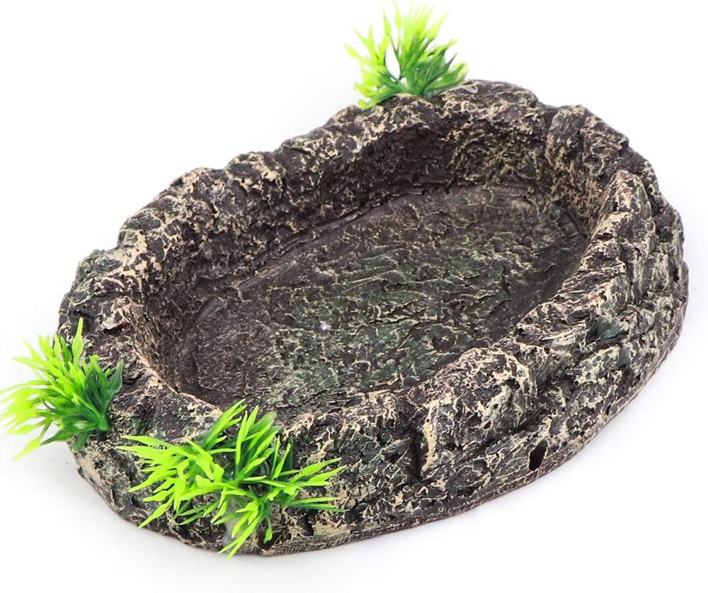 Amphibian Reptile Snake Worm Dish Water Food Bowl for Lizard Turtle Bearded Dragon Tank Accessory Terrarium Habitat Decoration