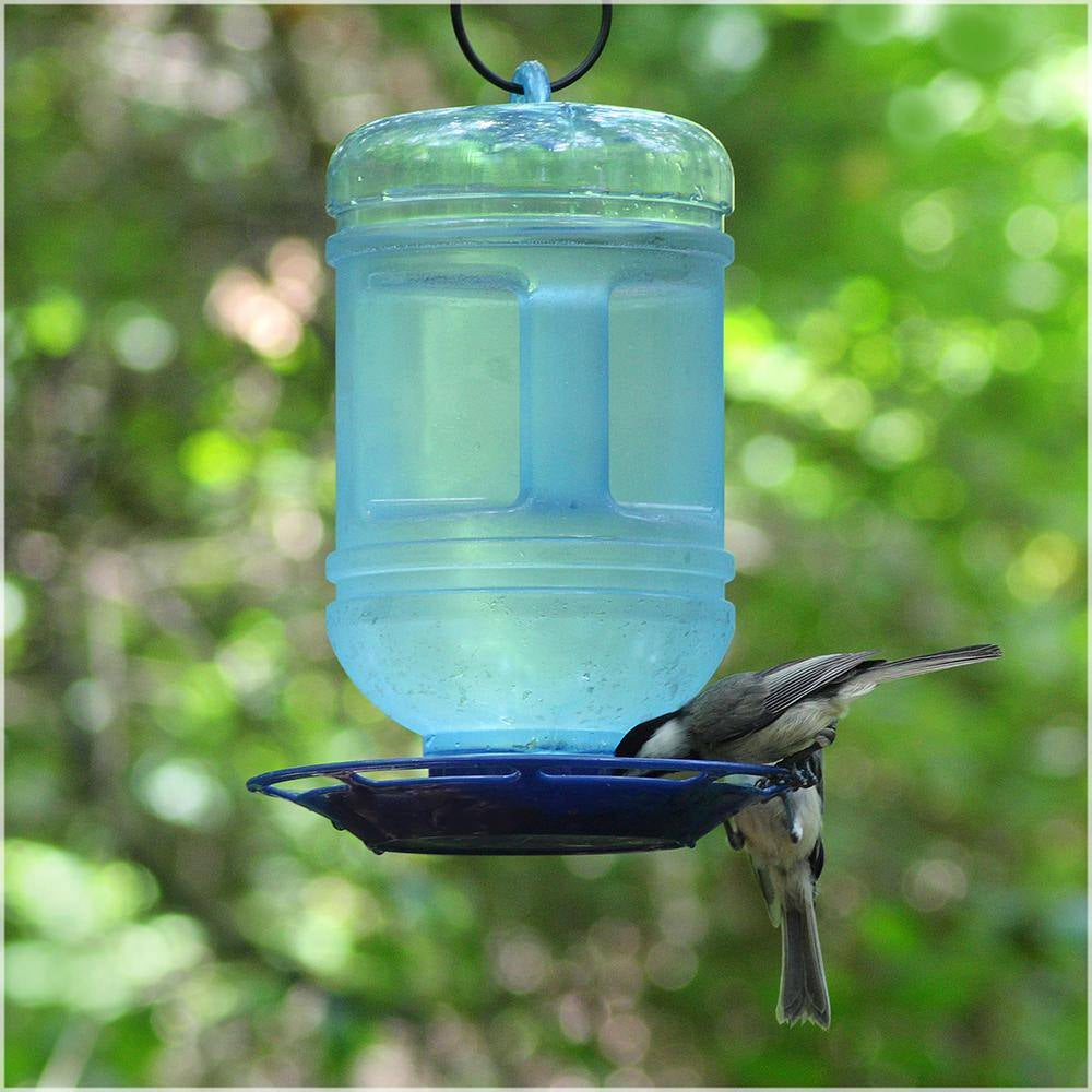 Water Cooler Hanging Bird Waterer - 48 Oz. Capacity