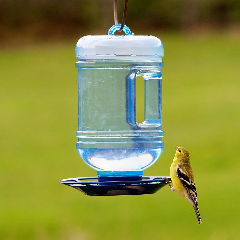 Water Cooler Hanging Bird Waterer - 48 Oz. Capacity