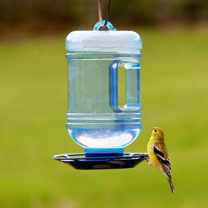 Water Cooler Hanging Bird Waterer - 48 Oz. Capacity