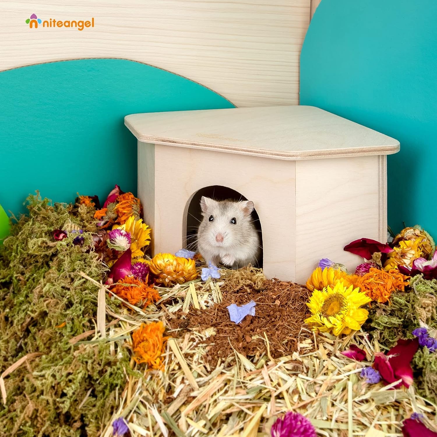 Birch Chamber-Maze Hamster Hideout - Small Pets Woodland House Habitats Decor for Hamster Mice Gerbils Mouse