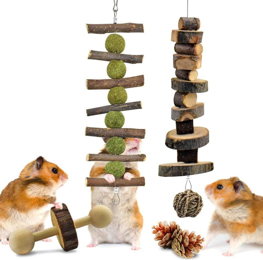 Small Breeds Activity Structure for Rabbit, Guinea Pig, Chinchilla, Hamster