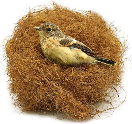 Coconut Fiber Nesting Material for Birds,Dust-Free,3 Ounce