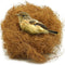 Coconut Fiber Nesting Material for Birds,Dust-Free,3 Ounce