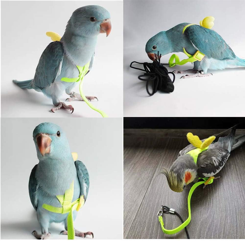 Bird Harness and Leash, Bird Parrot Adjustable Outdoor Flying Training Rope with Buckle for Cockatiel, Macaw, Budgie, Red-Breasted Parakeet, Monk Parakeet, Grey Parrot, Lovebird