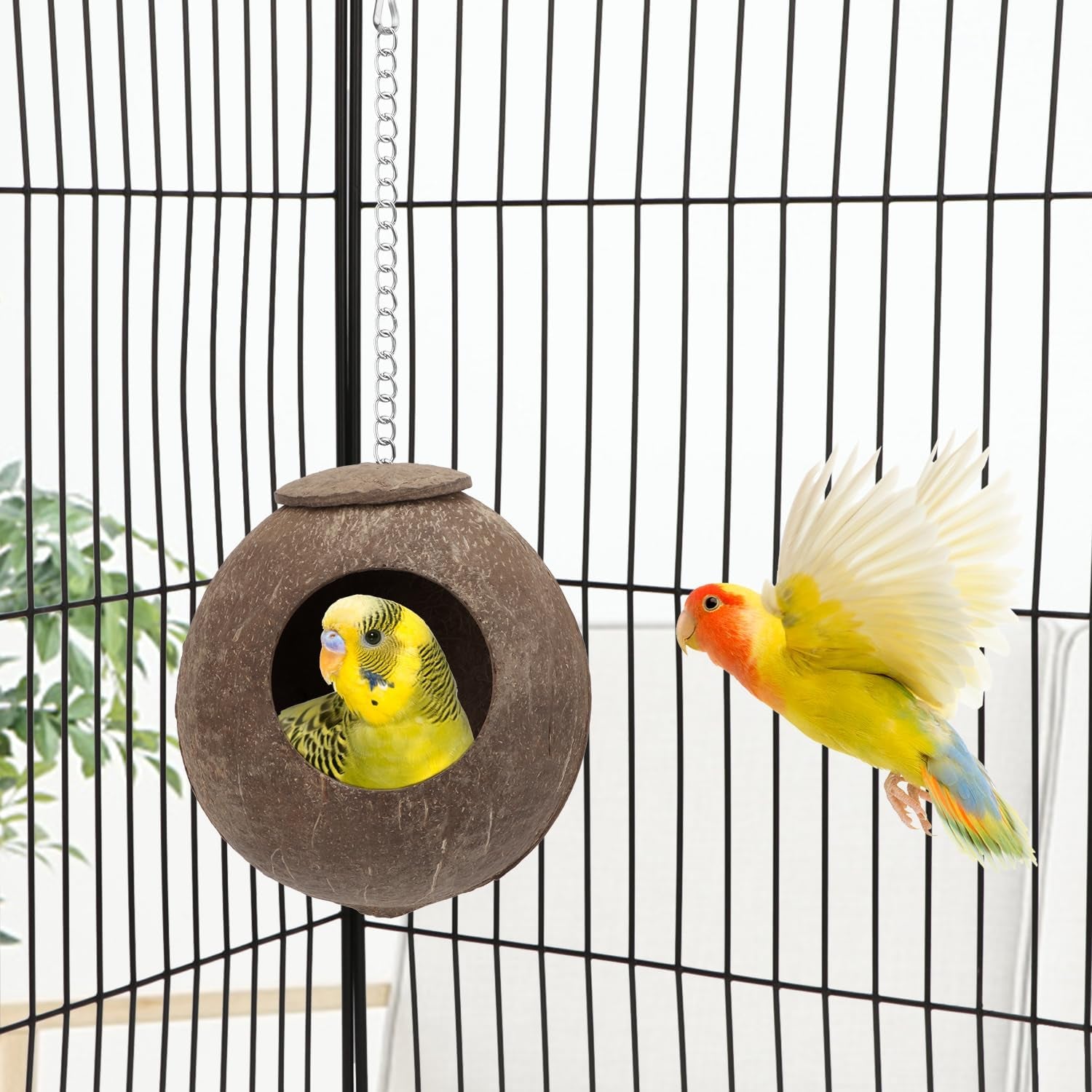 Hy Natural Coconut Hideaway Parrot Birds Toys Decorative Bird Nest Cage House for Pet Parrot Budgies Parakeet Cockatiels Conure Canary Finch Pigeon Cage Hamster Rat (Nest Cage Only)