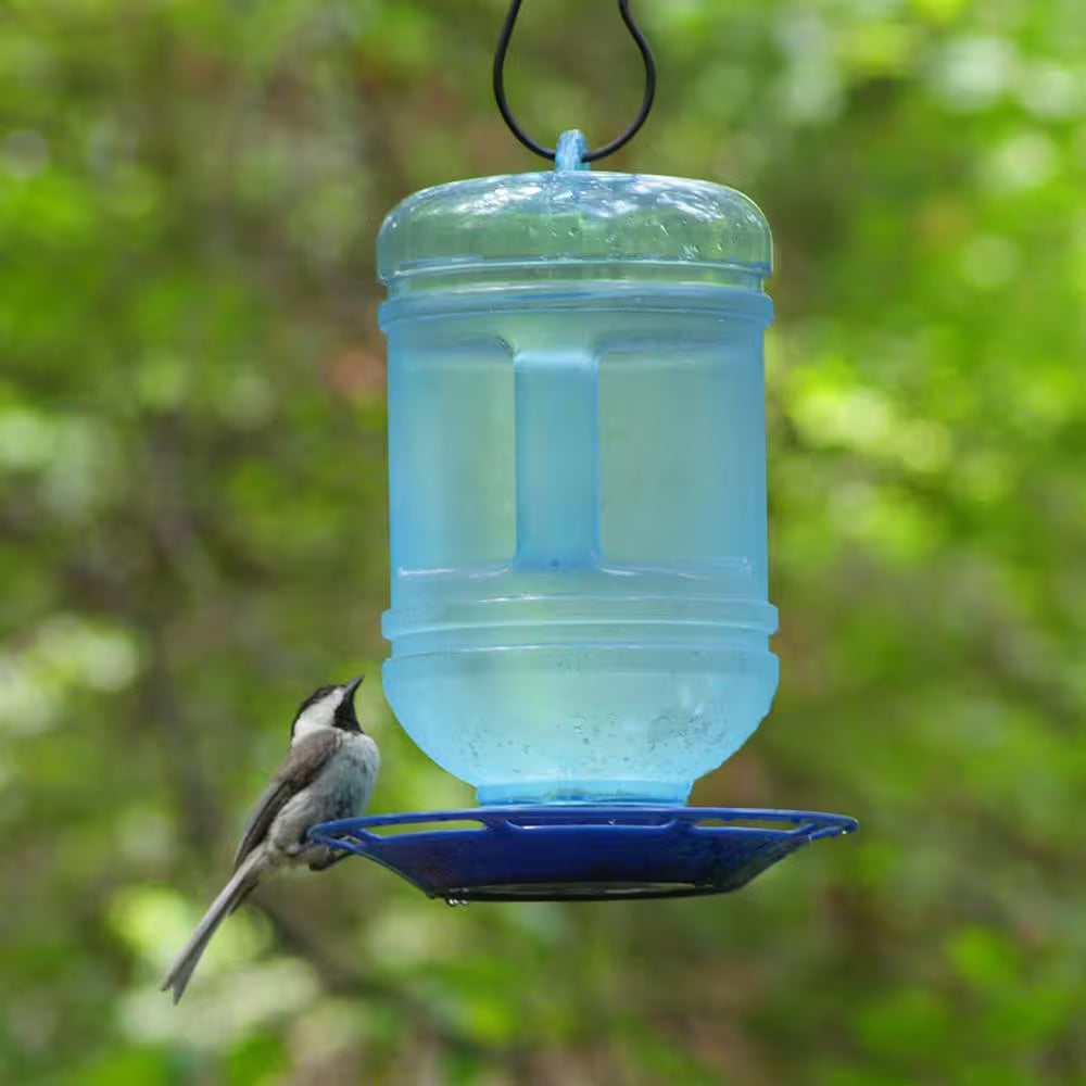 Water Cooler Hanging Bird Waterer - 48 Oz. Capacity