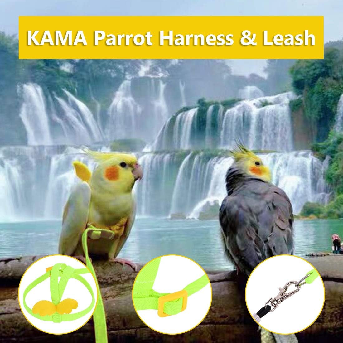 Bird Harness and Leash, Bird Parrot Adjustable Outdoor Flying Training Rope with Buckle for Cockatiel, Macaw, Budgie, Red-Breasted Parakeet, Monk Parakeet, Grey Parrot, Lovebird