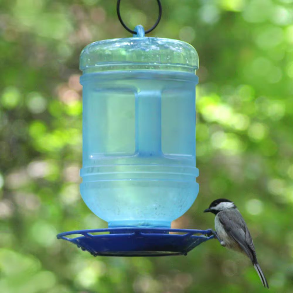 Water Cooler Hanging Bird Waterer - 48 Oz. Capacity